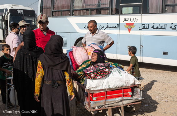 A disabled woman being transported to the bus with a makeshift cart sm