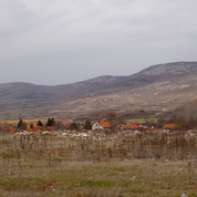 3Димитровград