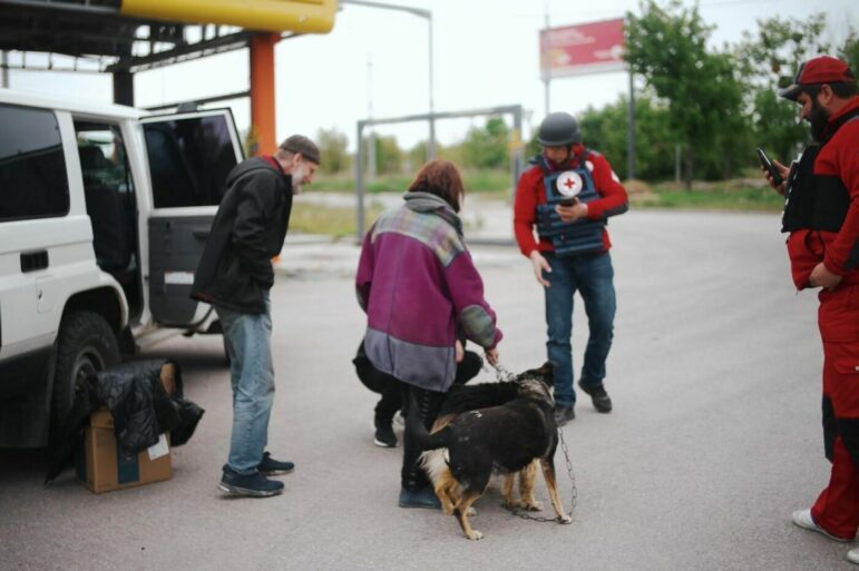 Cinq personnes, dont deux portent des gilets pare-balles et des logos de la croix rouge, sont concentrées sur des photos ou caressent deux chiens.