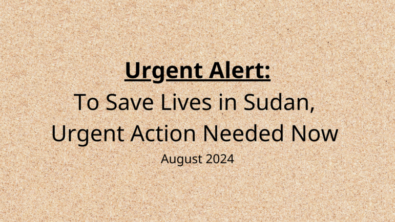 To Save Lives in Sudan, Urgent Action Needed Now