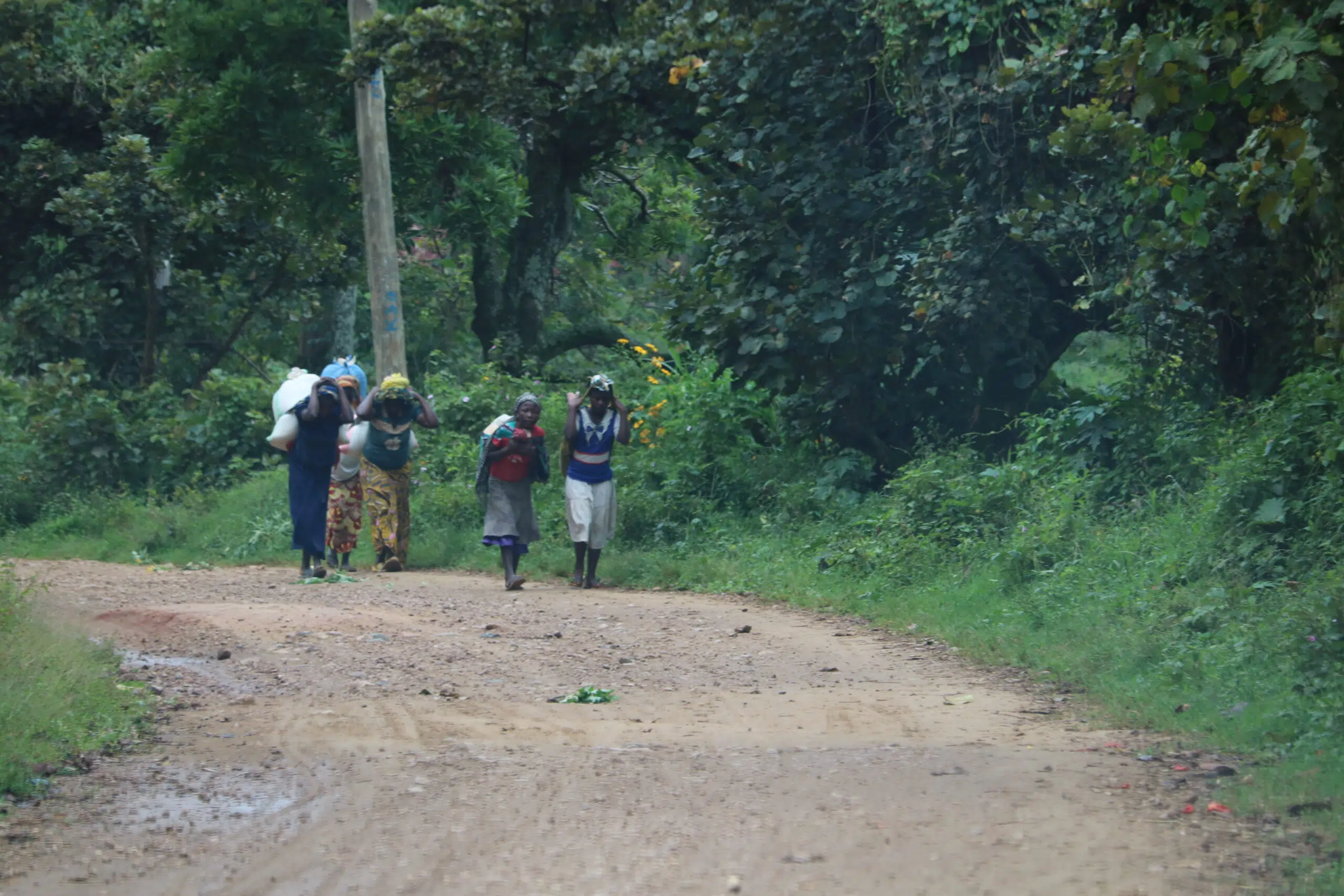 Four community members supporting one another in the DRC. They are carrying loads on their backs while walking along a dirt road.
