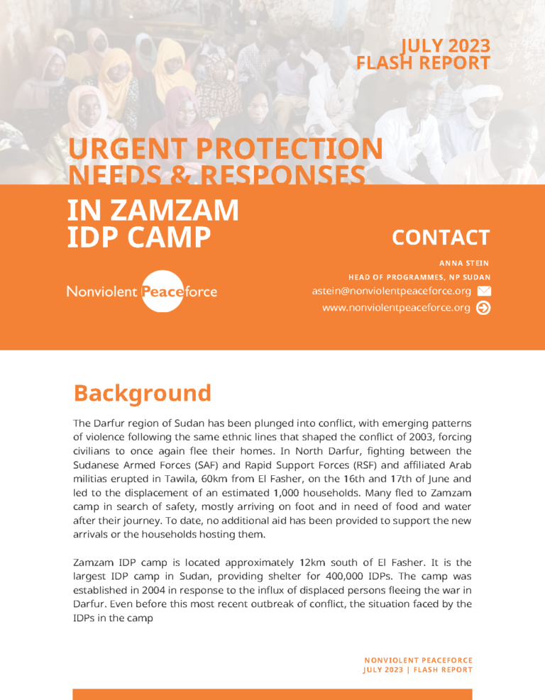Flash Report: Urgent Protection Needs & Responses in Zamzam IDP Camp (July 2023)