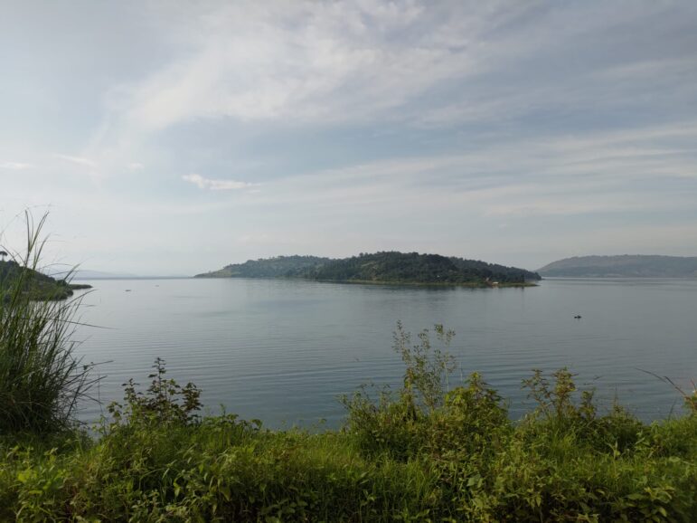 Blick über einen großen, ruhigen See auf eine bewaldete Insel unter einem blassen, teilweise bewölkten Himmel.